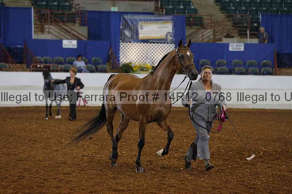 Proof Number 14r12_0768