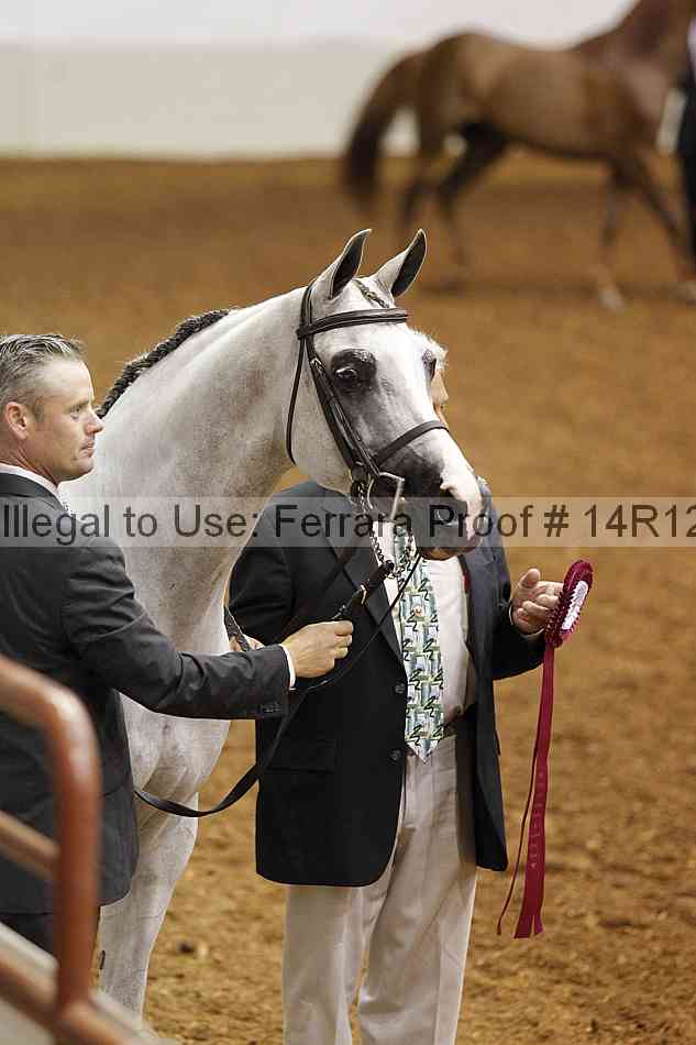 Proof Number 14r12_0813