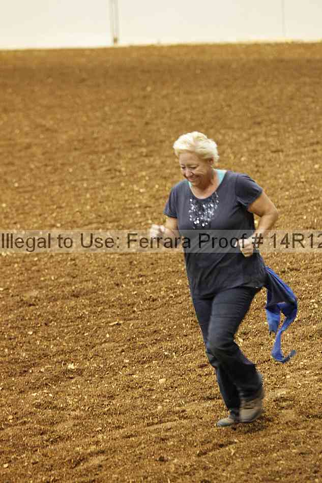 Proof Number 14r12_0820