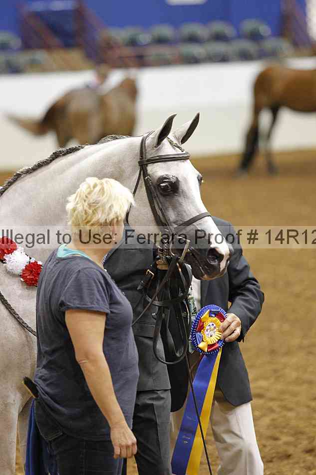 Proof Number 14r12_0822