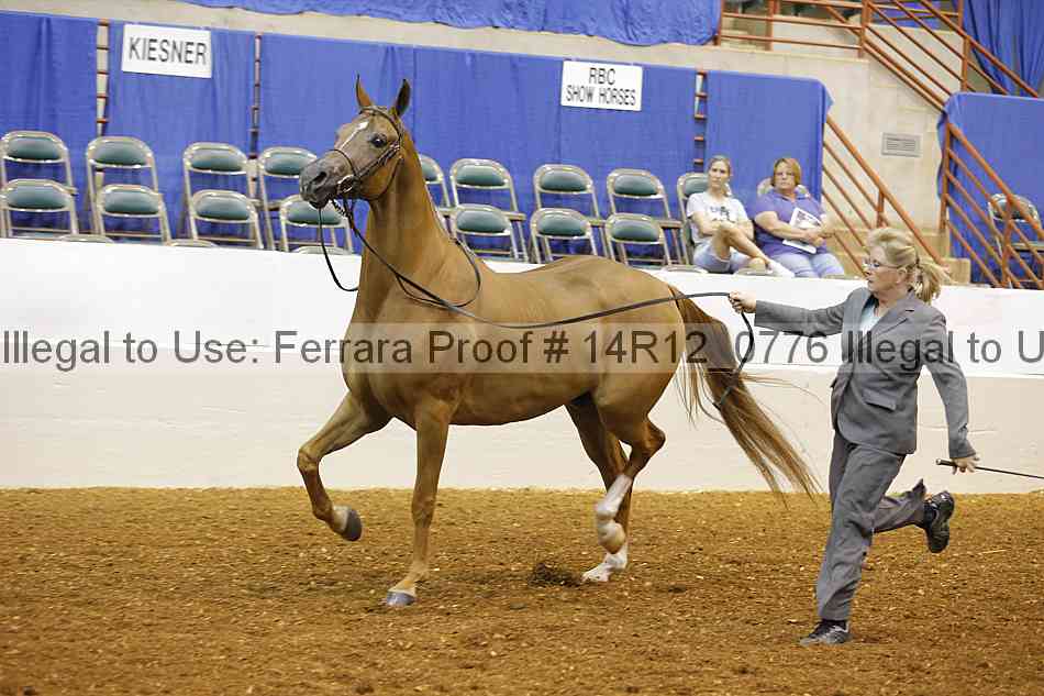 Proof Number 14r12_0776