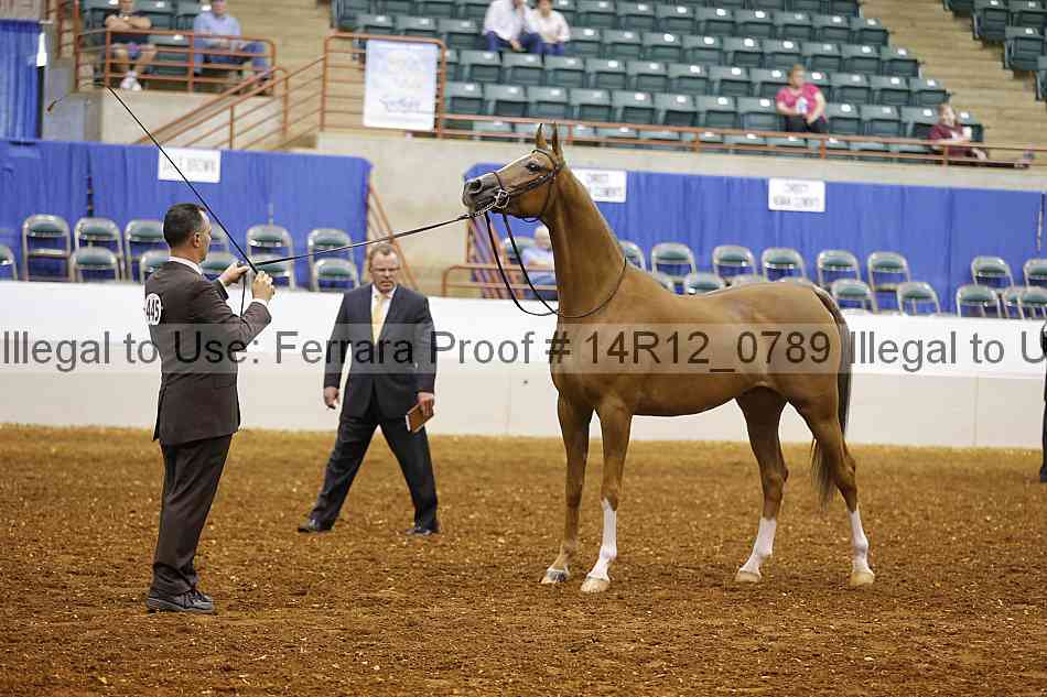 Proof Number 14r12_0789