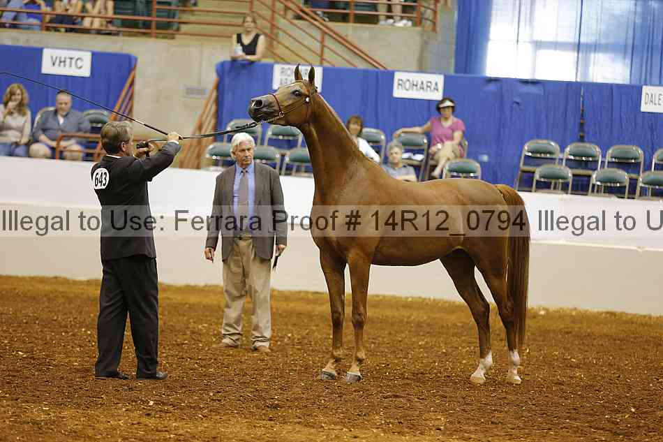 Proof Number 14r12_0794