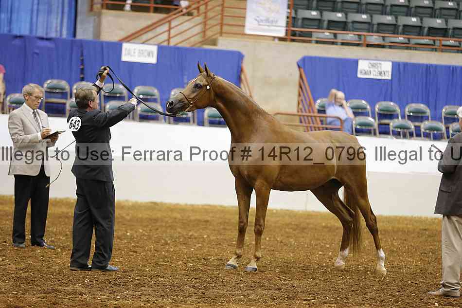 Proof Number 14r12_0796