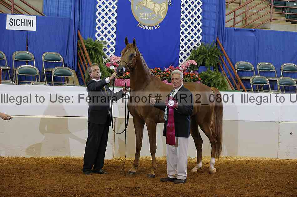 Proof Number 14r12_0801