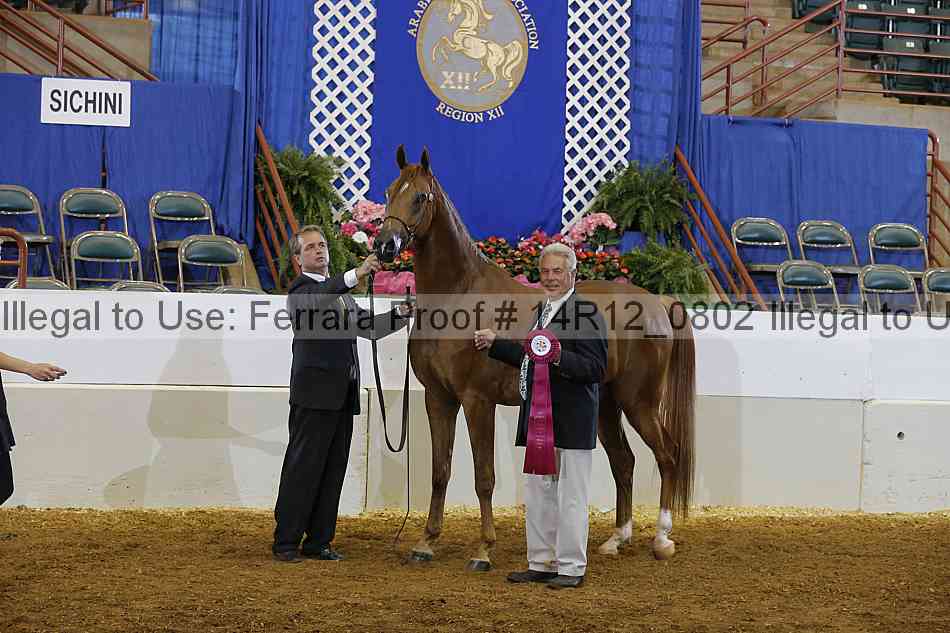 Proof Number 14r12_0802