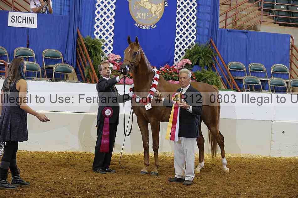 Proof Number 14r12_0803