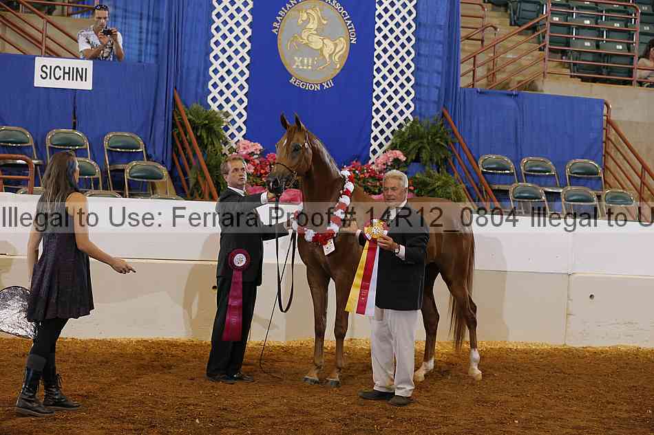 Proof Number 14r12_0804