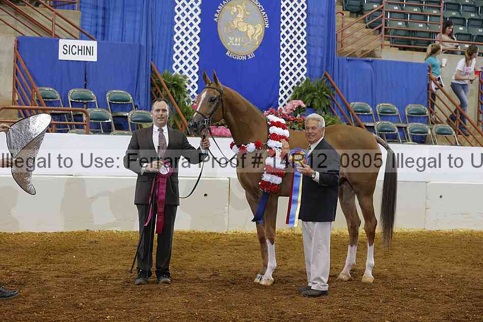 Proof Number 14r12_0805