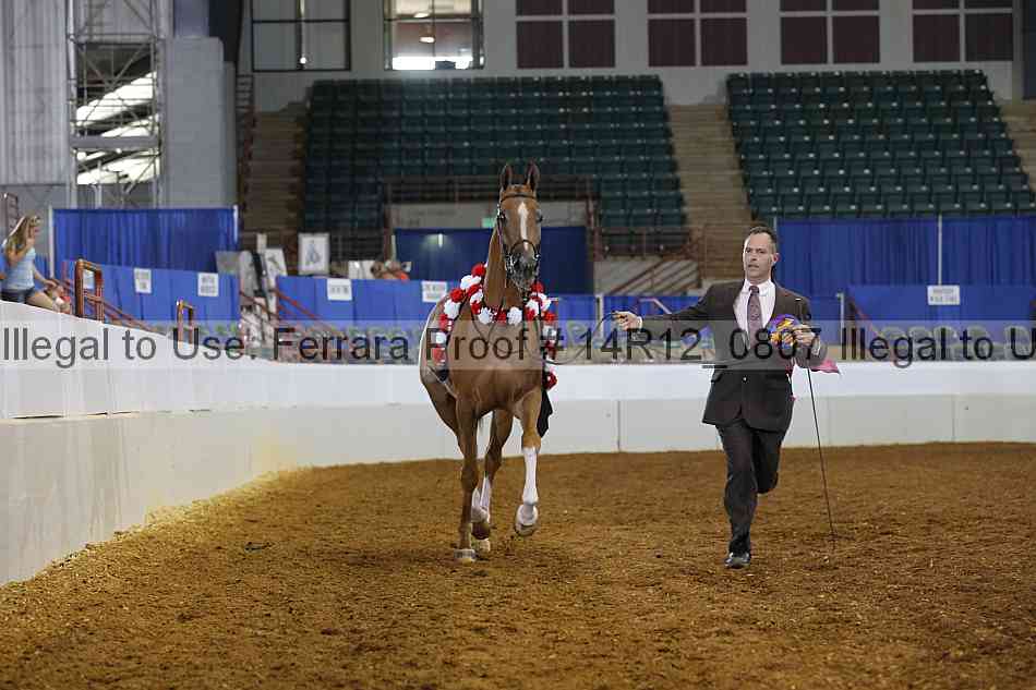 Proof Number 14r12_0807