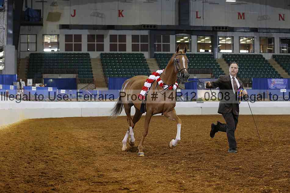 Proof Number 14r12_0808