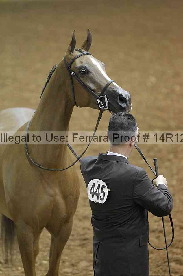 Proof Number 14r12_0827