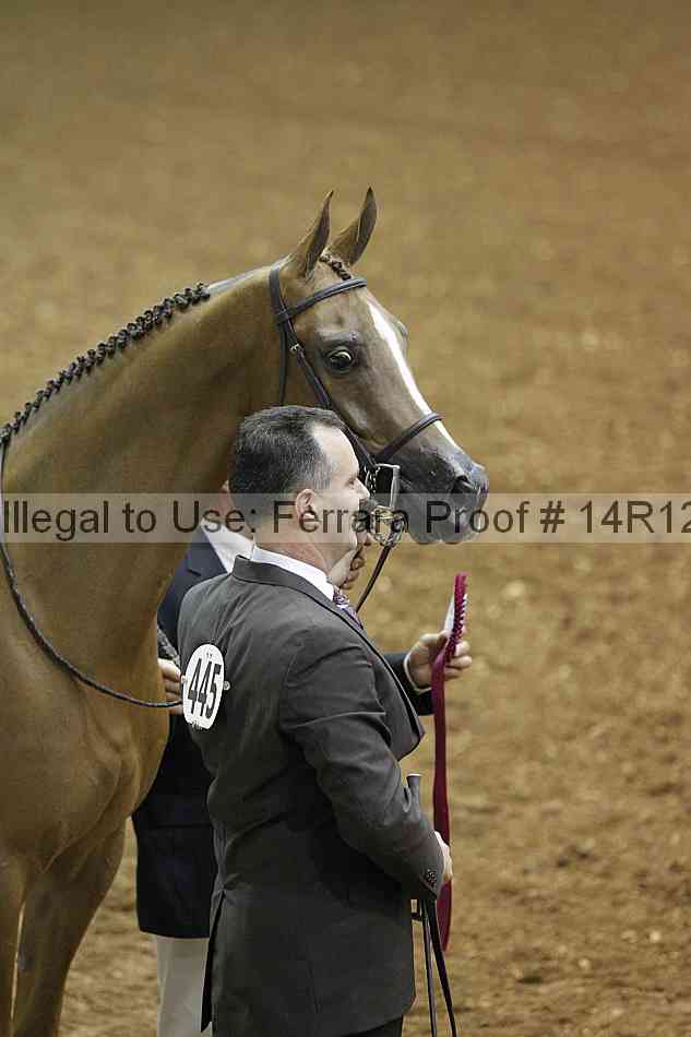 Proof Number 14r12_0828