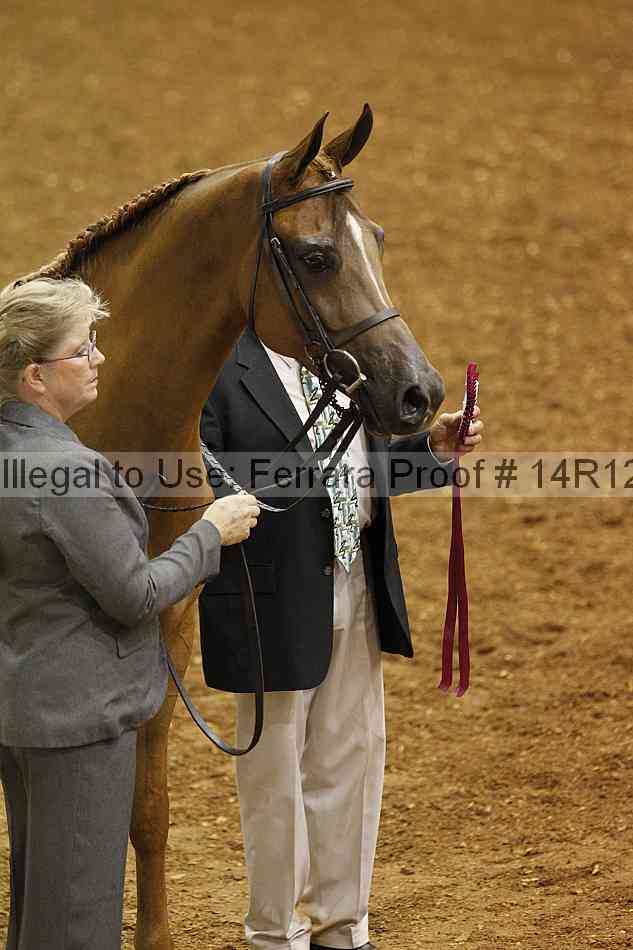 Proof Number 14r12_0829
