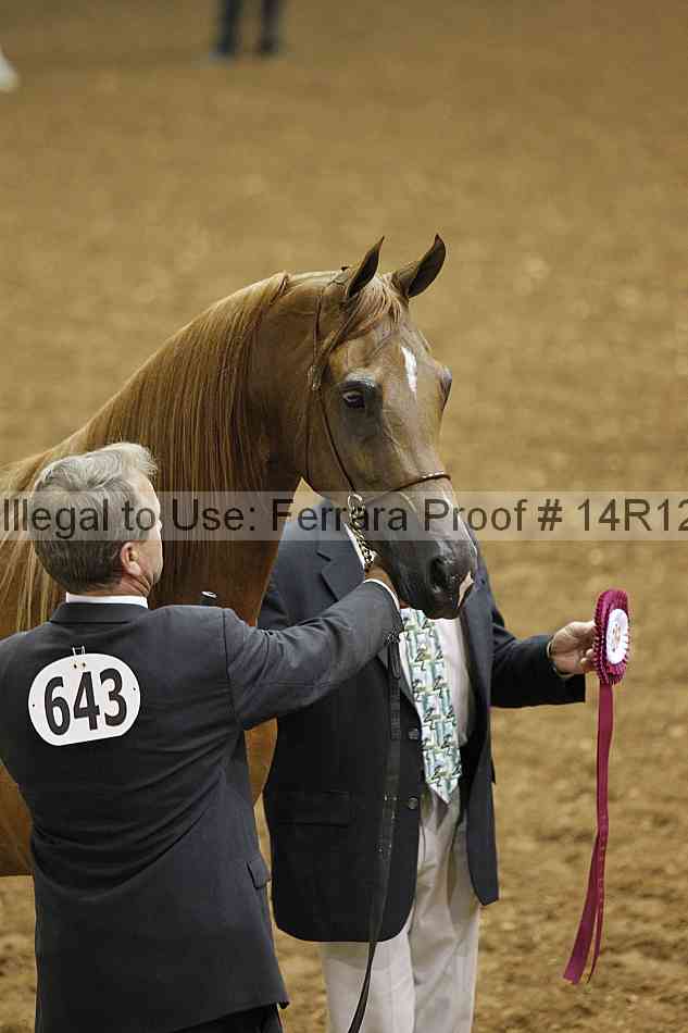 Proof Number 14r12_0831