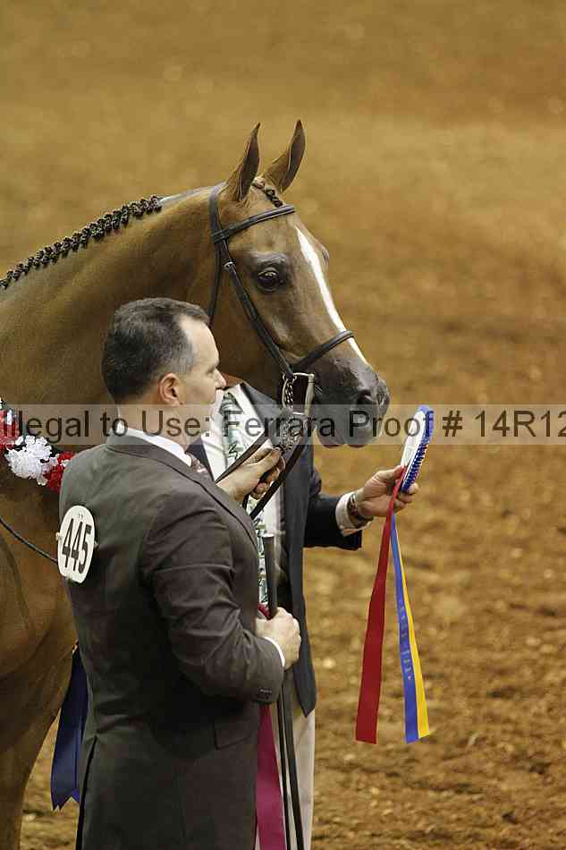Proof Number 14r12_0835