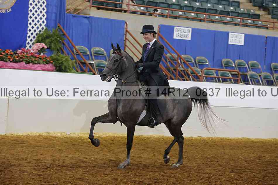 Proof Number 14r12_0837