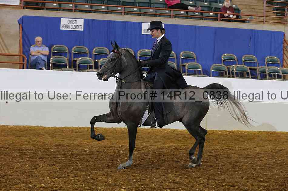 Proof Number 14r12_0838