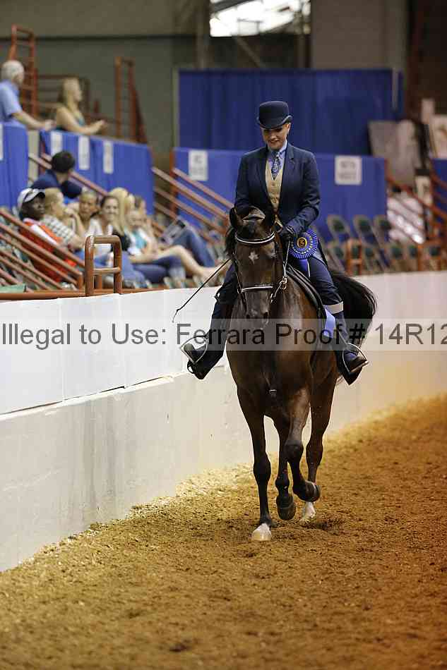 Proof Number 14r12_0856