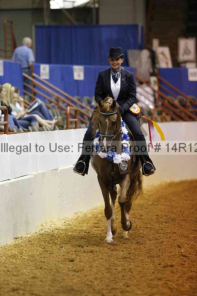 Proof Number 14r12_0861