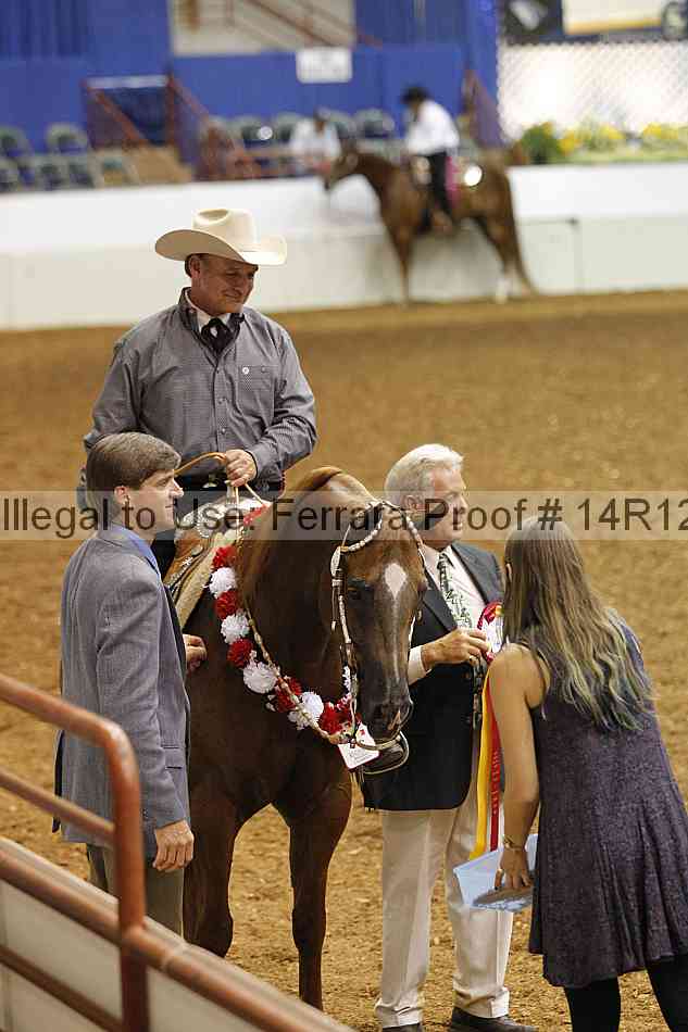 Proof Number 14r12_0889