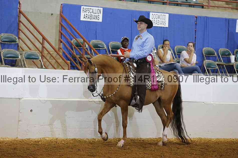 Proof Number 14r12_0907