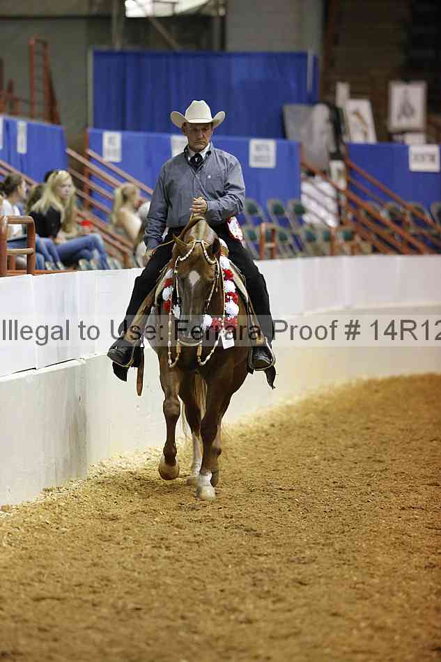 Proof Number 14r12_0916