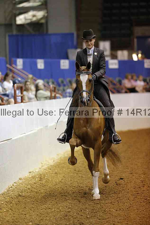 Proof Number 14r12_0944