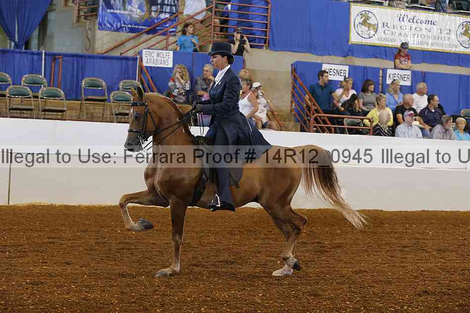 Proof Number 14r12_0945