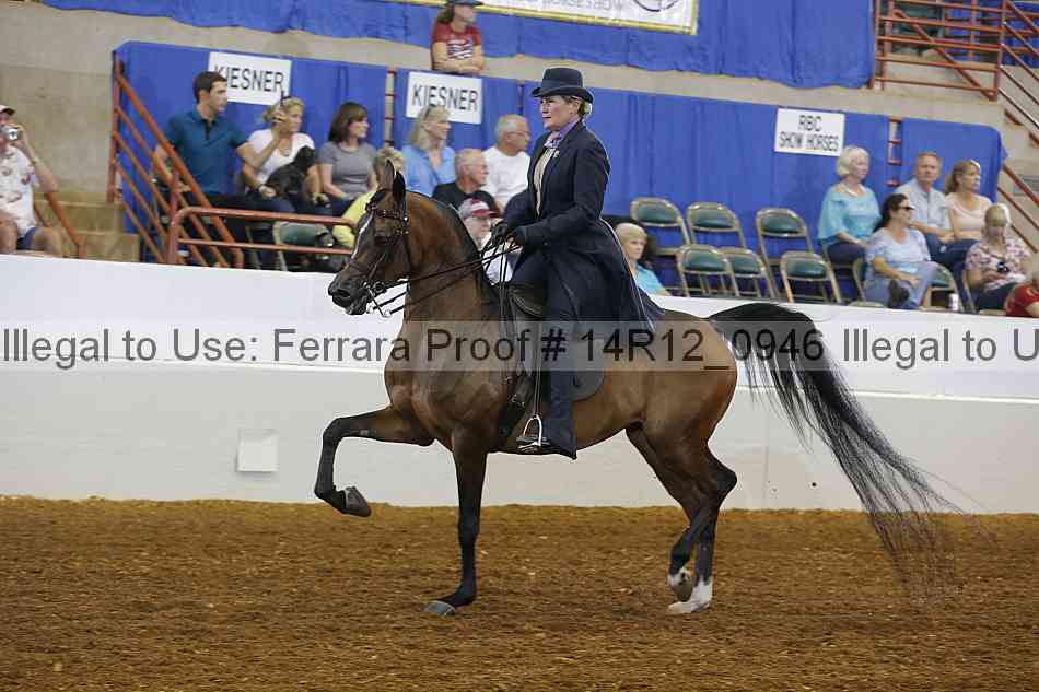 Proof Number 14r12_0946