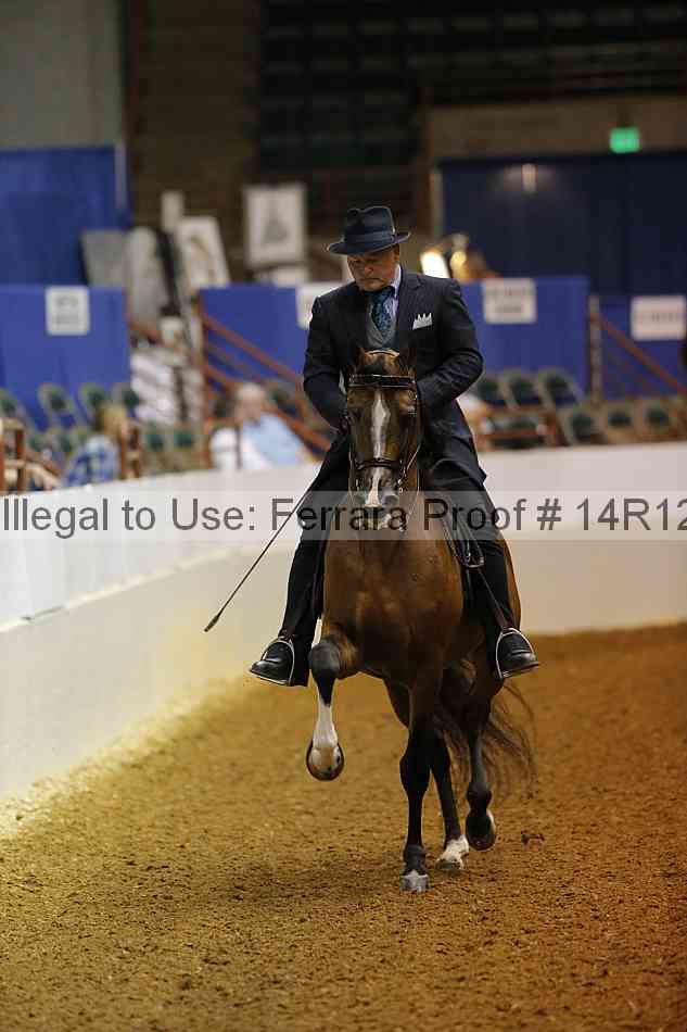 Proof Number 14r12_0950