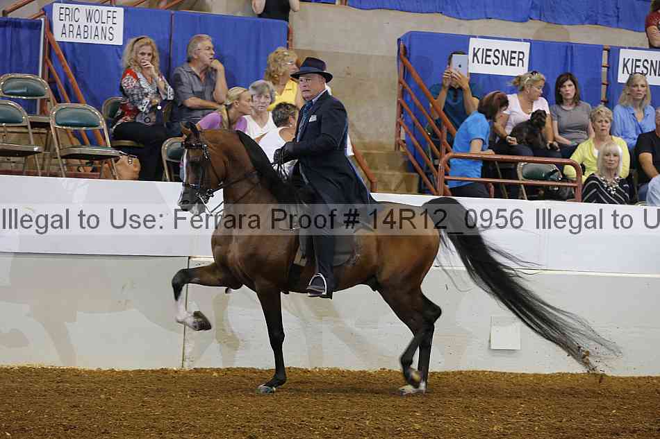 Proof Number 14r12_0956