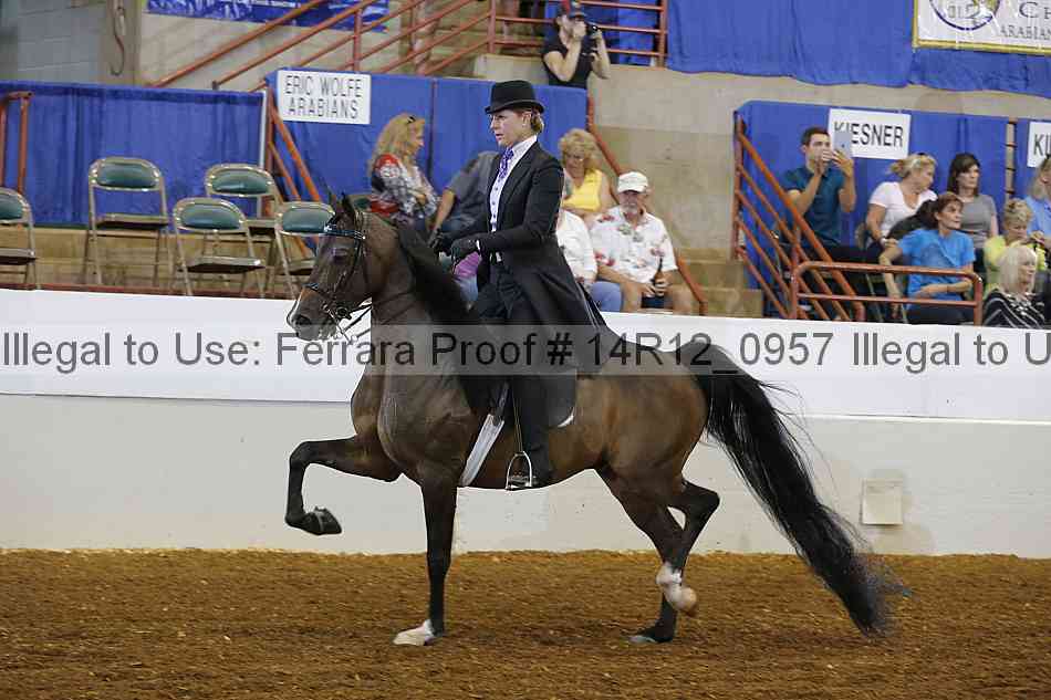 Proof Number 14r12_0957