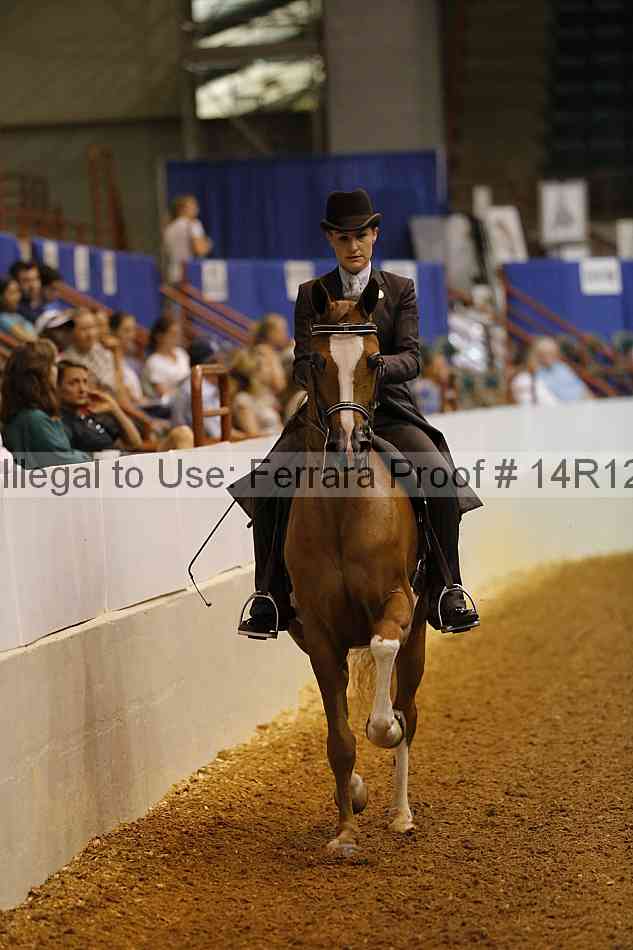 Proof Number 14r12_0958