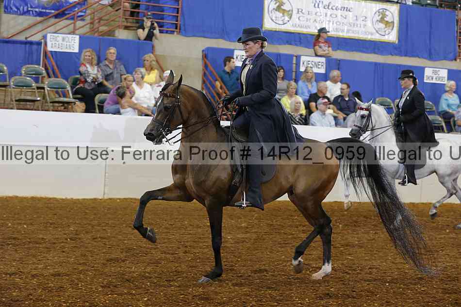 Proof Number 14r12_0959