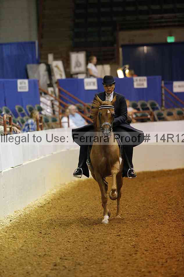 Proof Number 14r12_0960