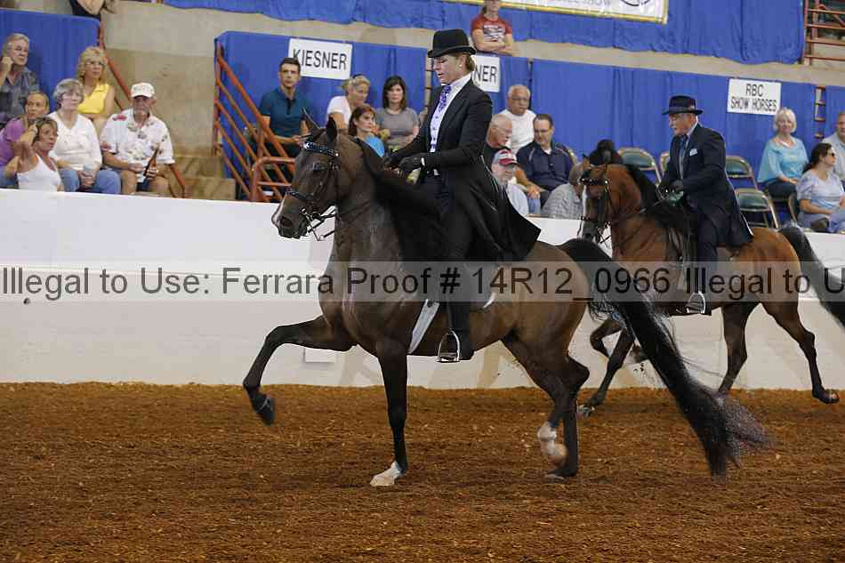Proof Number 14r12_0966