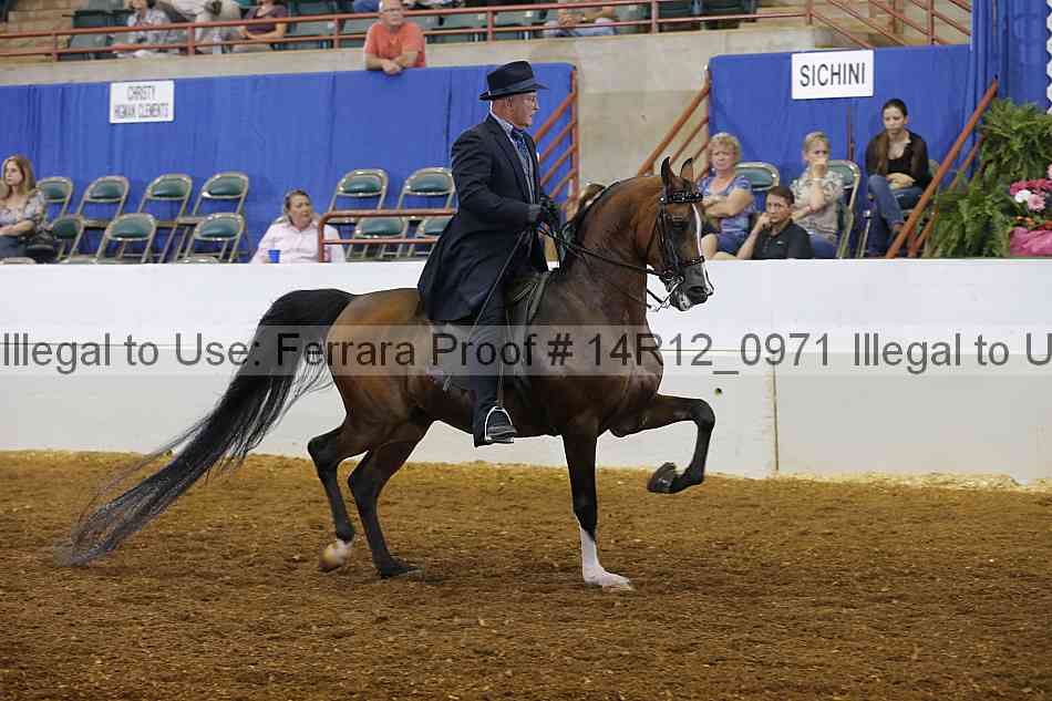 Proof Number 14r12_0971