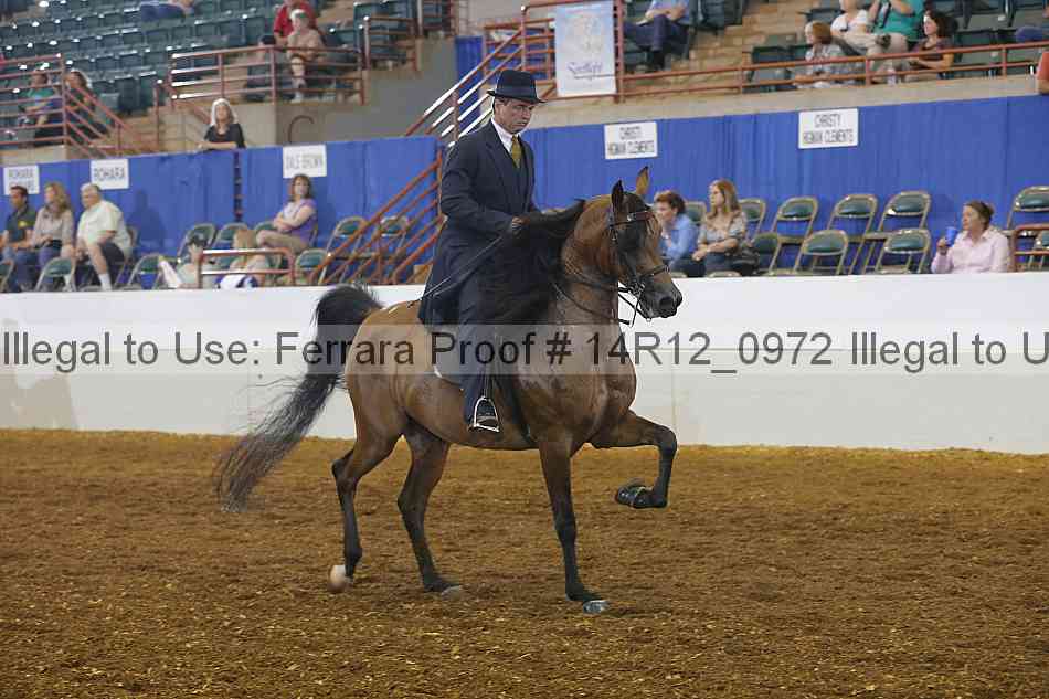 Proof Number 14r12_0972