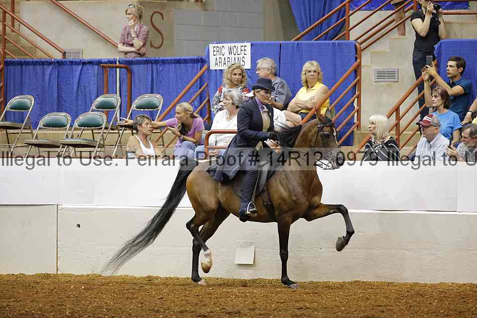 Proof Number 14r12_0979