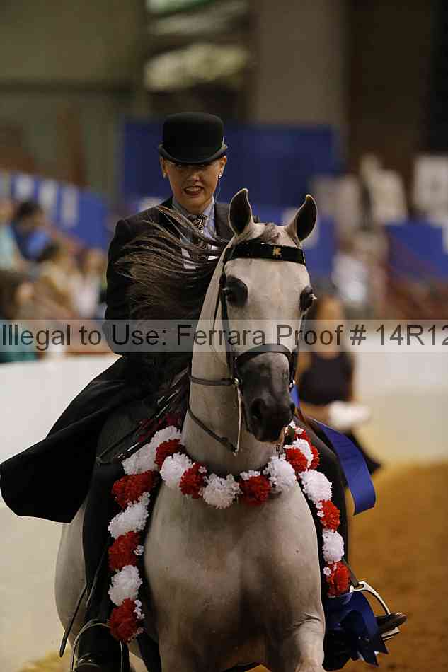 Proof Number 14r12_0995