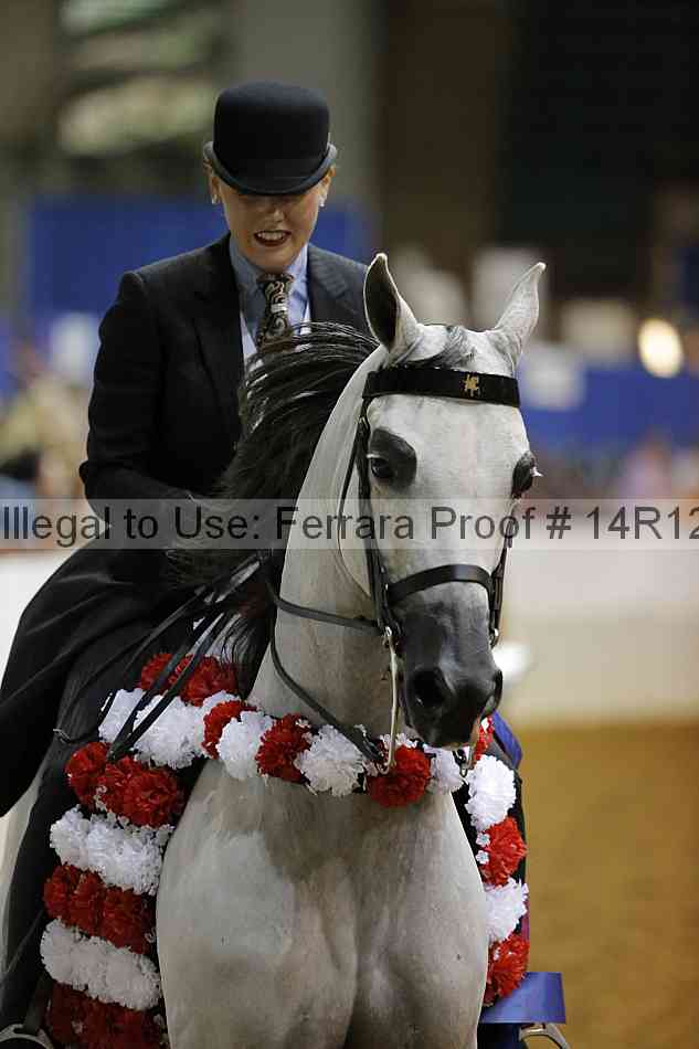 Proof Number 14r12_0996