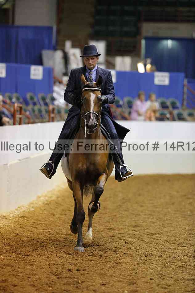Proof Number 14r12_0999