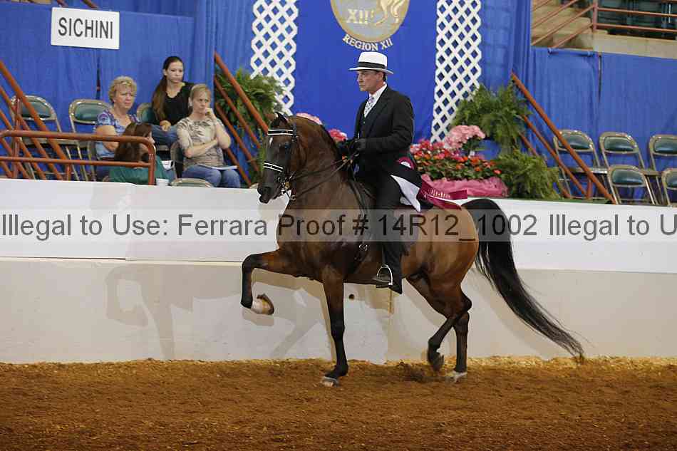 Proof Number 14r12_1002