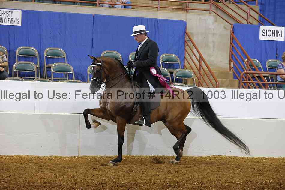 Proof Number 14r12_1003