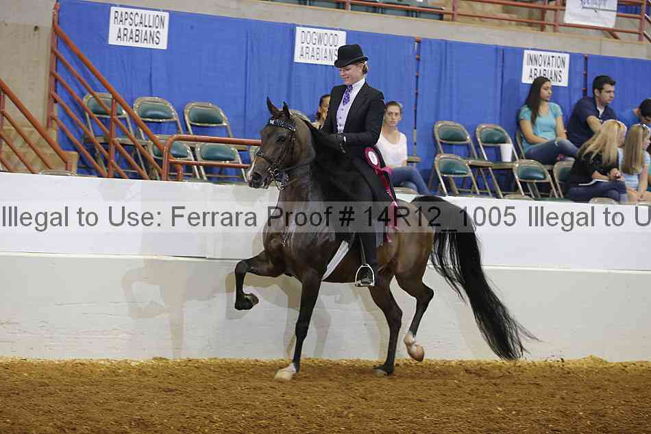 Proof Number 14r12_1005