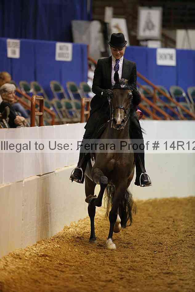 Proof Number 14r12_1008