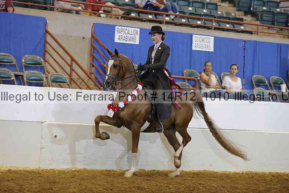 Proof Number 14r12_1010