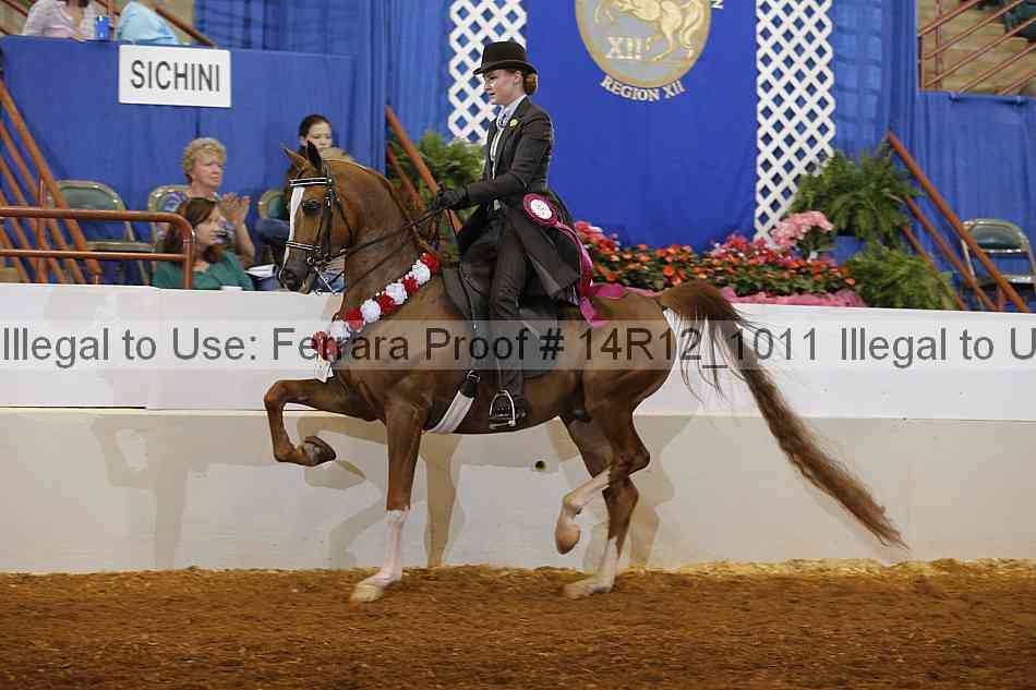 Proof Number 14r12_1011