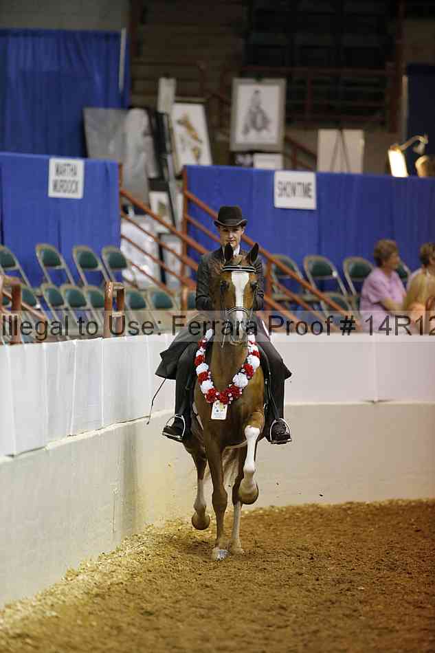 Proof Number 14r12_1012